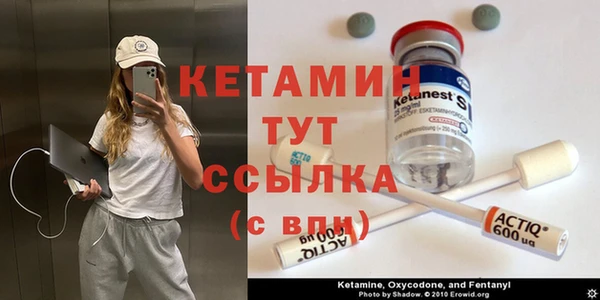 прущие грибы Нефтекумск