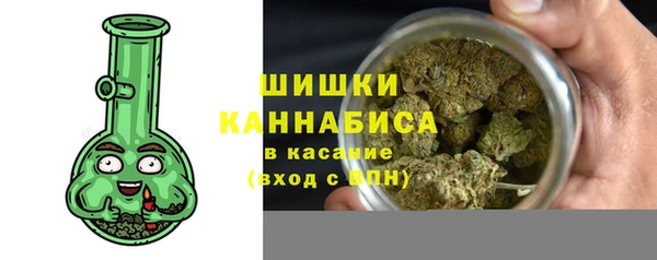 прущие грибы Нефтекумск