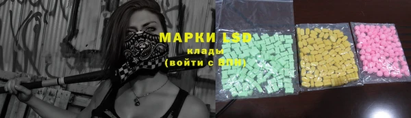 прущие грибы Нефтекумск